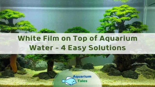 how to prevent white film on aquarium glass