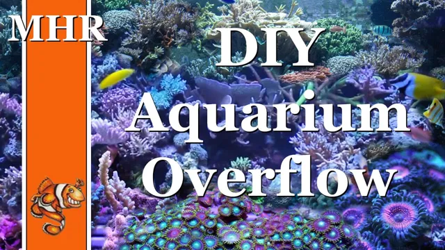 How to Prime Aquarium Overflow: Tips and Techniques for Effective Water Flow