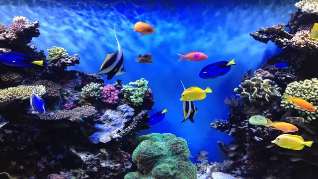 how to print aquarium backgrounds