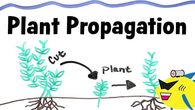 How to Propagate Freshwater Aquarium Plants: Tips and Techniques