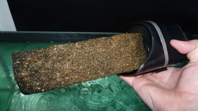 how to properly clean aquarium filter