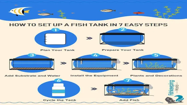 How to Properly Cycle an Aquarium in 7 Easy Steps for a Healthy Tank