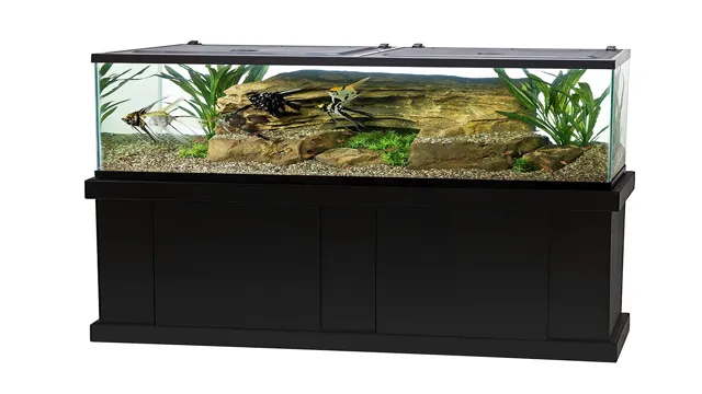 How to Properly Heat a 55 Gallon Aquarium: Tips and Techniques for Optimal Temperature Control