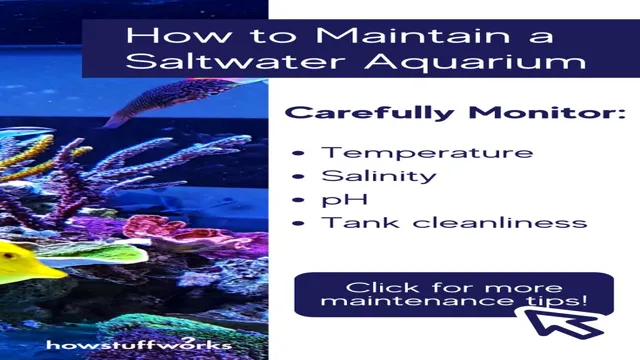 How to Properly Maintain a Saltwater Aquarium: A Step-by-Step Guide