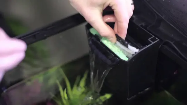 How to Properly Rinse Aquarium Filter Cartridge: Tips and Tricks for Optimal Filtration