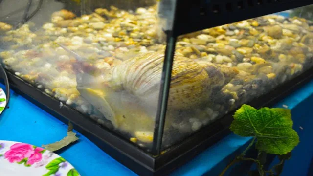 how to properly seal an aquarium
