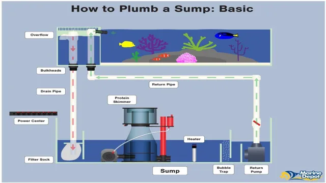 how to properly setup a sump system for saltwater aquarium