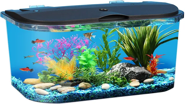 how to properly start a fish aquarium