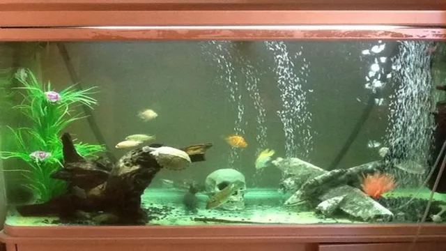 how to properly strate an aquarium