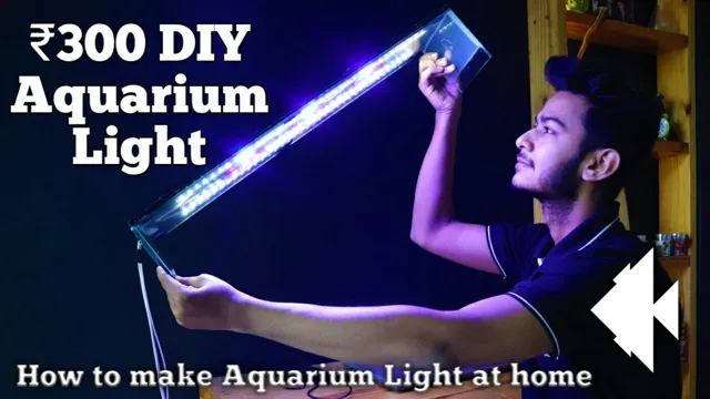 How to Properly Tune Aquarium Light for Optimal Fish and Plant Growth: A Step-by-Step Guide