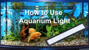 how to protect aquarium light from water