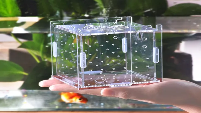 how to protect baby fish in aquarium