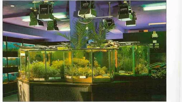 how to provide oxygen in aquarium