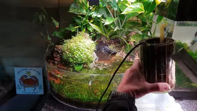 how to pull trim from an aquarium