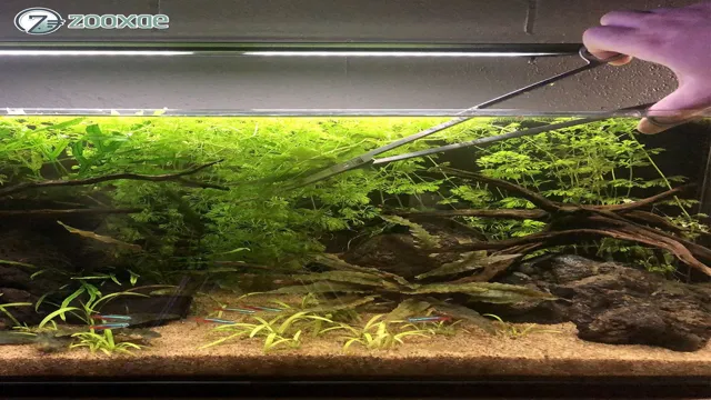 how to pull trim from an aquarium