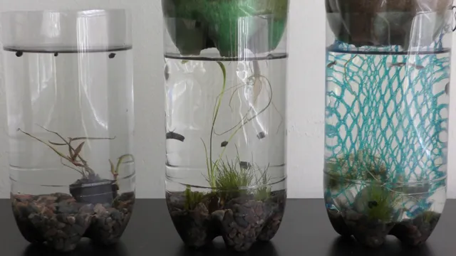 how to put a animal bottle in a aquarium