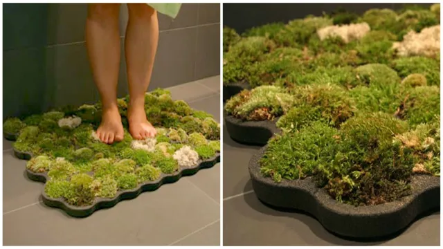 how to put a moss mat in your aquarium