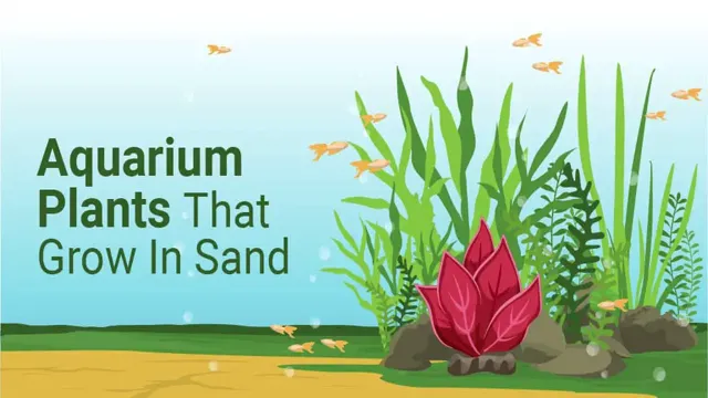 How to Put a Plant in Sand Aquarium: Step-by-Step Guide for Healthy Growth