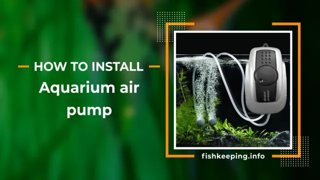 how to put air pump in aquarium