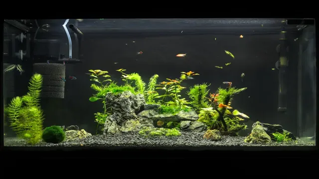 How to Put an Aquarium Filter on a Rimless Tank: A Step-by-Step Guide