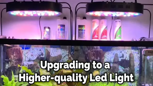 How to Put Aquarium Lights Up with No Hood: A Comprehensive Guide