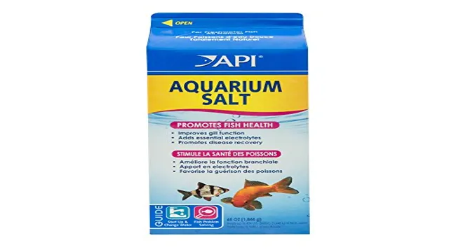 How to Put Aquarium Salt: A Step-by-Step Guide for Beginners