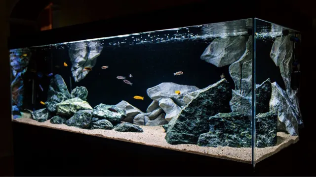 how to put background on aquarium