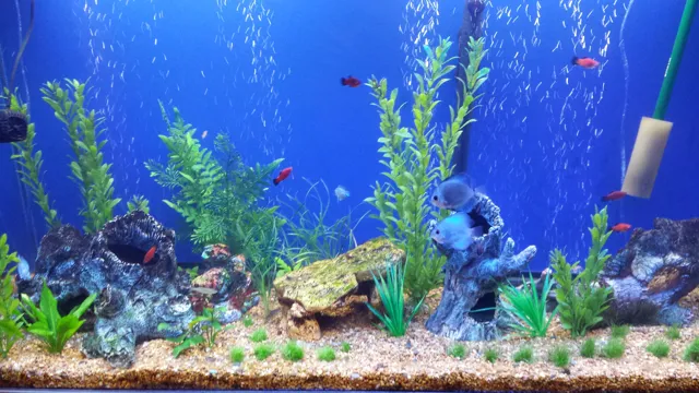how to put background paper on an aquarium