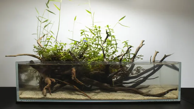 How to Put Bamboo in Aquarium: A Step-by-Step Guide for Healthy Aquatic Plants