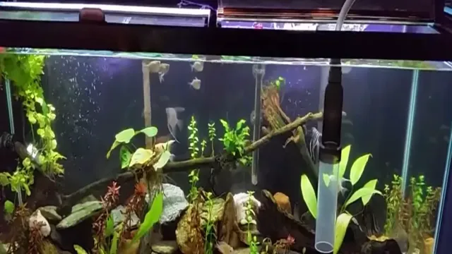 how to remove tannins from aquarium