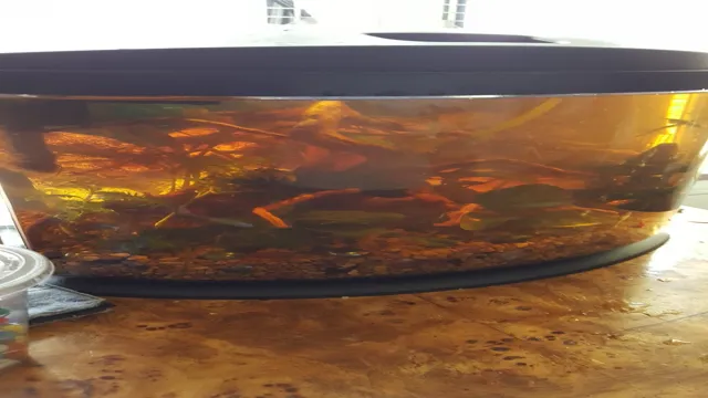 How to Remove Tannins from Aquarium Water: Effective Tips and Technique.