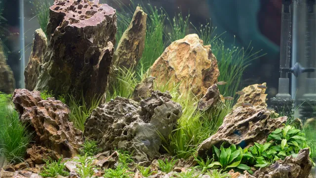 How to Test Rocks for Aquarium: Tips for Ensuring Safe and Successful Aquascaping