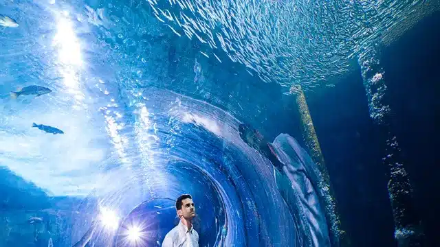 is aquarium of the bay worth it