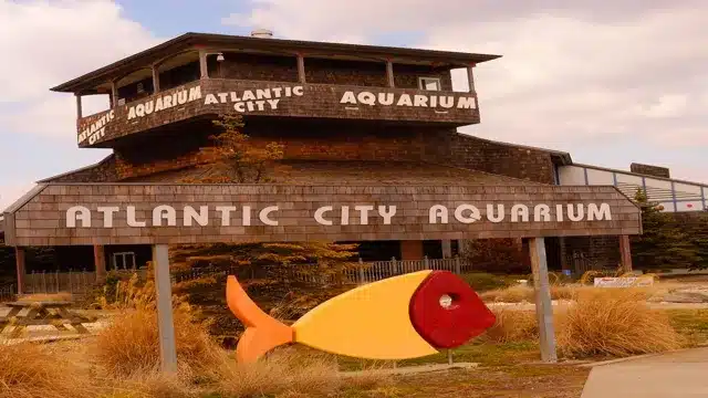 Is Atlantic City Aquarium Open Now? Latest Updates and Safety Measures