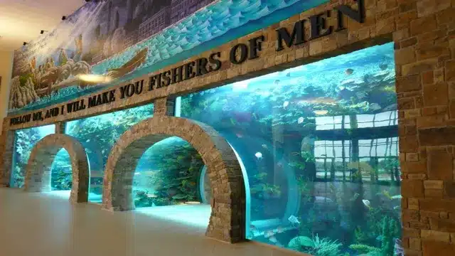 is atm aquariums still in business