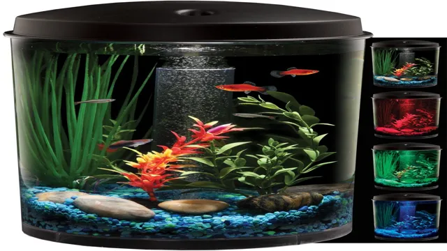 is modern aquarium legit