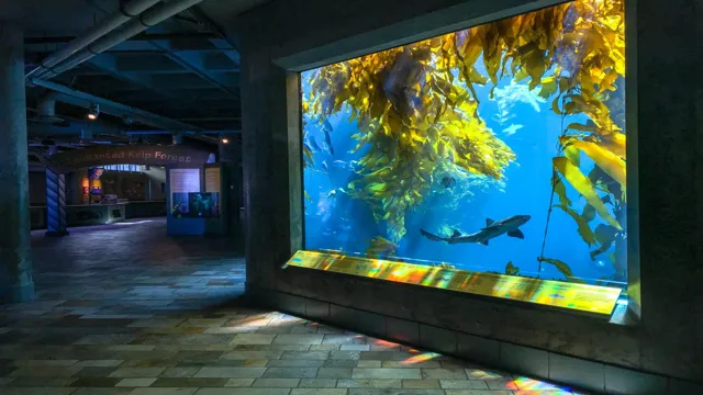 is monterey bay aquarium ethical
