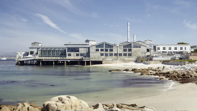 Is Monterey Bay Aquarium Ethical? All You Need to Know About Their Operations