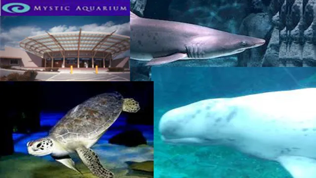 Is Mystic Aquarium Ethical? Exploring the Controversies and Facts