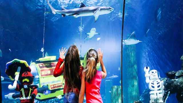 Is Sea Life Aquarium Inside Legoland: A Deep Dive Into This Fun Attraction