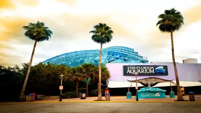 is the florida aquarium indoors