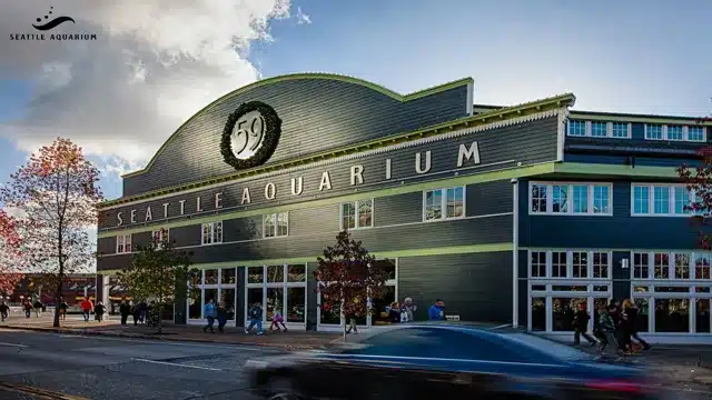 Is the Seattle Aquarium Worth It? Exploring the Best Exhibits and Attractions.