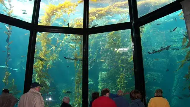 is there an aquarium in washington dc