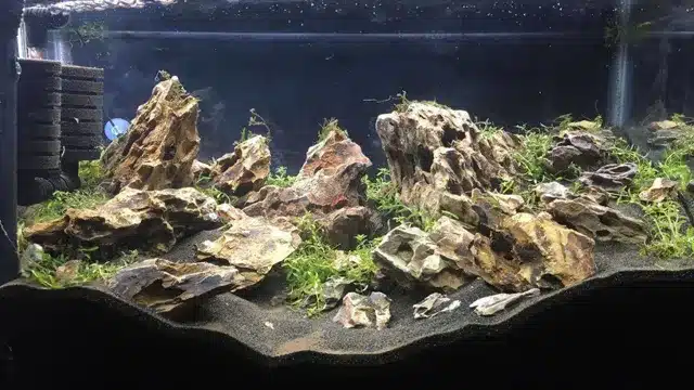 what rocks raise ph in aquarium