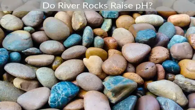 What Rocks Raise pH in Aquarium and How to Use Them Effectively