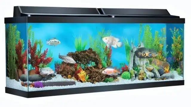 what size lid for 55 gallon aquarium