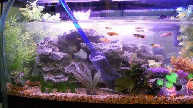 when to do first water change in new aquarium