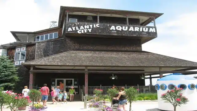 When Will the Atlantic City Aquarium Reopen? Discover the Latest Updates and Plans