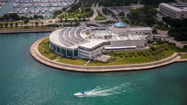 where to eat near shedd aquarium