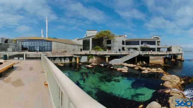 Where to Park for Monterey Bay Aquarium: A Comprehensive Guide to Finding Parking Spots